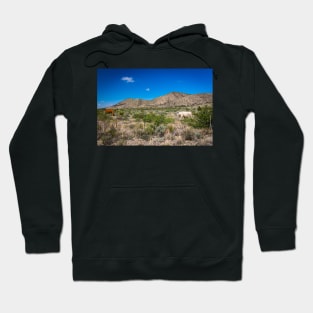 Criollo Cattle on the Open Range Hoodie